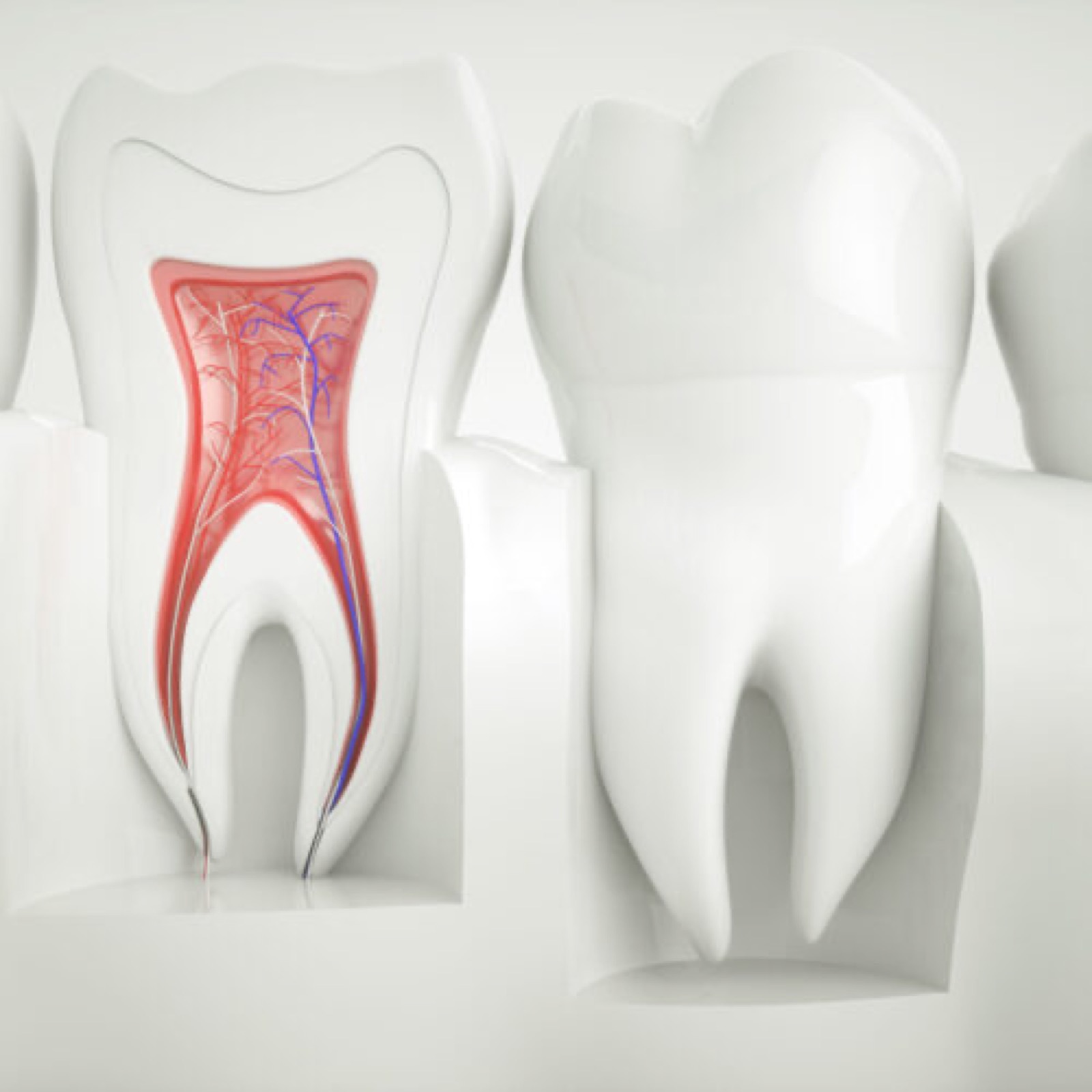 Endodontologie